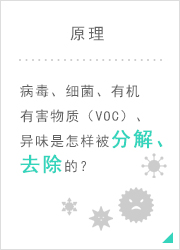 原理   病毒、細菌是怎樣被分解、去除的？