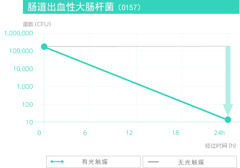 腸道出血性大腸桿菌（O157）