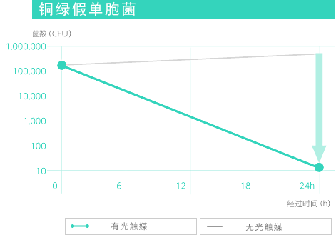 革蘭氏陰性桿菌