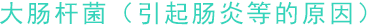大腸桿菌（引起腸炎等的原因）