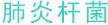 肺炎桿菌
