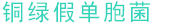 銅綠假單胞菌