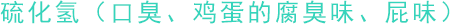 硫化氫（口臭、雞蛋的腐臭味、屁味）
