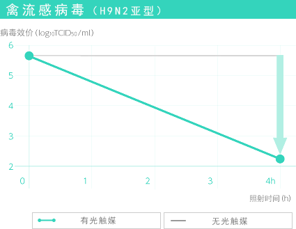 禽流感病毒（H9N2亞型）