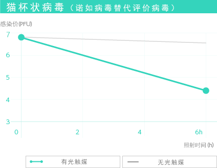 貓杯狀病毒（諾如病毒替代評(píng)價(jià)病毒）