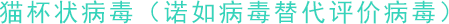 貓杯狀病毒（諾如病毒替代評(píng)價(jià)病毒）