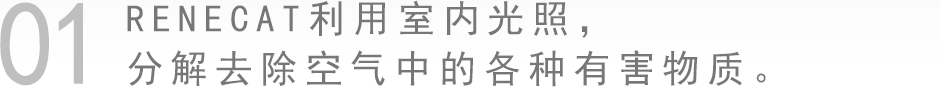 RENECAT利用室內光照，分解去除空氣中的各種有害物質。