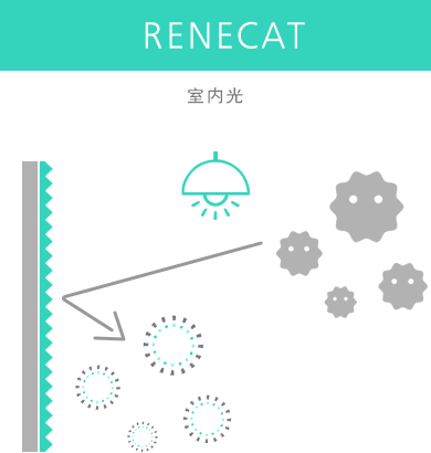 RENECAT 室內(nèi)光