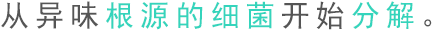 從異味根源的細(xì)菌開(kāi)始分解。