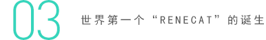 03 世界第一個“RENECAT”的誕生
